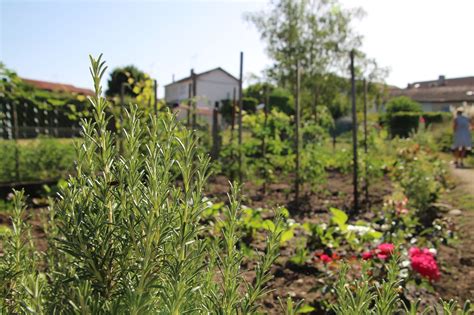 Développement durable Site officiel de Veauche dans la Loire 42