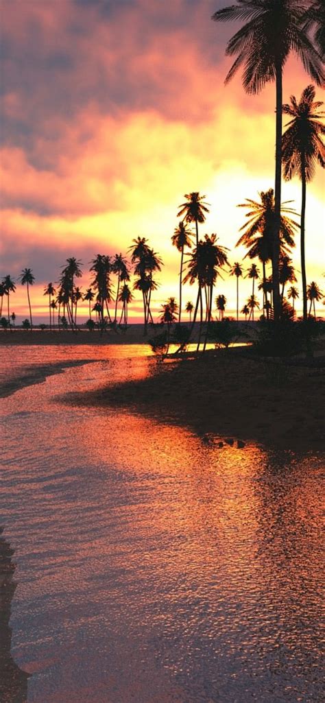 Download Palm Trees Sunset Sea Hd Nature 4k Wallpaper