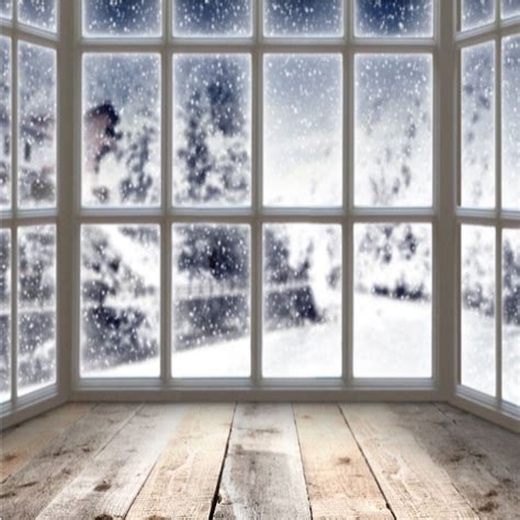 Amazon.com: Winter Indoor Photography Backdrops Snow Window Backgrounds Gray Wood Floor for ...