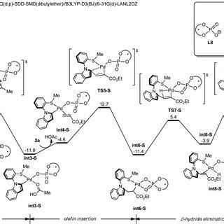 Dft Computed Free Energy Profile Of Palladium Catalyzed Nc