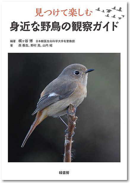 身近な野鳥の図鑑