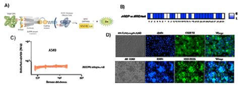 Optimization Of Adcp Assay In Sotr Serum Samples A Principle Of Adcp