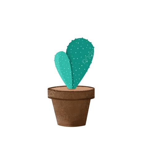 Planta Azul En Maceta Png Plantas En Macetas Planta Maceta Png Y Porn