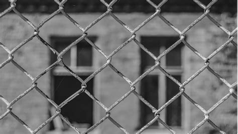 За прошлые сутки в Литву из Беларуси не впустили 96 мигрантов, вечером ...