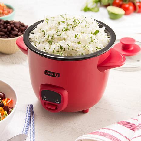 DASH 2-Cup Mini Rice Cooker with 14 Recipes – Cookware Store