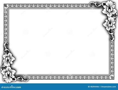orchids border stock illustration illustration  orchid
