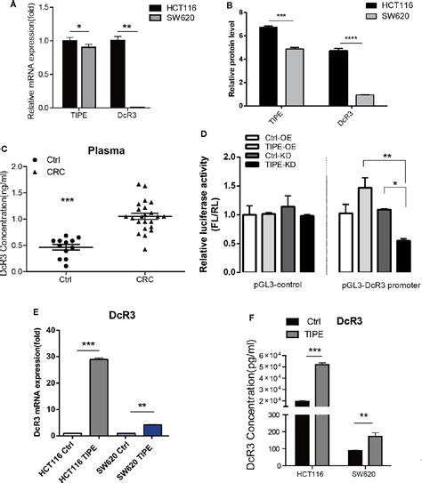 Frontiers Tipe Regulates Dcr3 Expression And Function By Activating