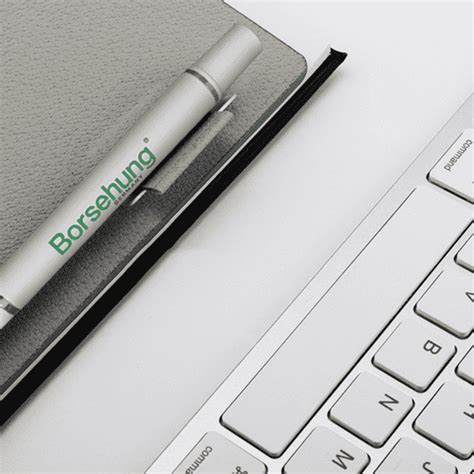 Borsehung, professional auto parts supplier