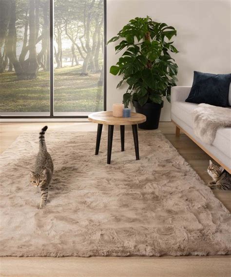 Zacht Hoogpolig Vloerkleed Comfy Plus Taupe 140x200 Cm Bol