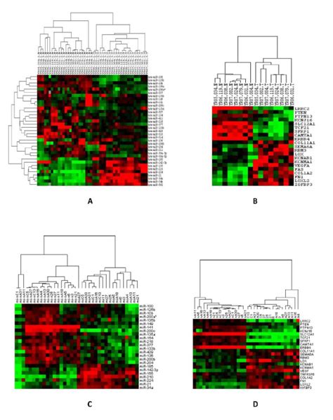 Differential Expression Of Microrna And Mrna Between Normal And Tumor Download Scientific