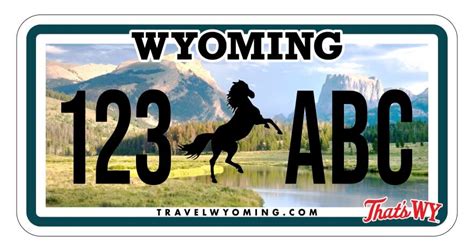 PETA Urges Wyoming to Give a ‘Buck’ About Horses | PETA