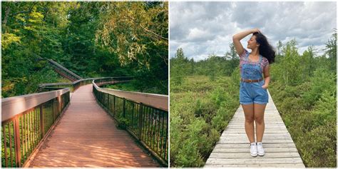 Crawford Lake Boardwalk - Narcity