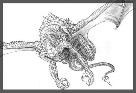 Flying Dragon by Sheranuva on DeviantArt