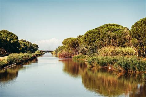 Landscape of Rhone River Delta, Camargue Stock Photo - Image of voyage ...