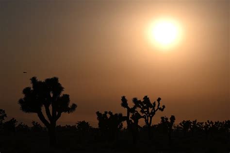 Dangerous Heat Wave Hits Southwestern Us