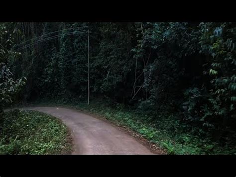 Dense Forest Ride Yellapur Sirsi Adventure Ktm Ktm Westernghat