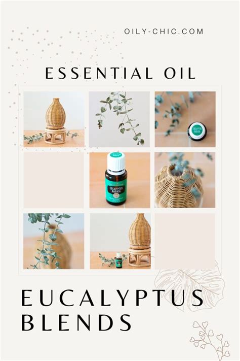 Refreshing Eucalyptus Diffuser Blends