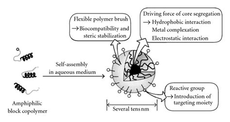 Features of polymeric micelles [21]. An amphiphilic copolymer in ...