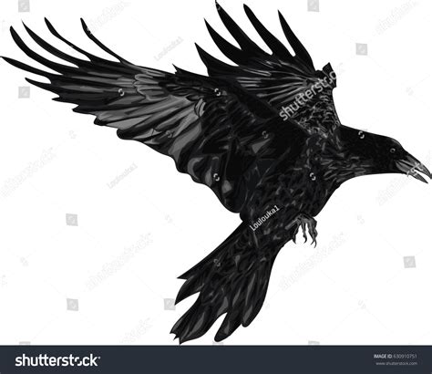 Raven Vector Illustration Stock Vector (Royalty Free) 630910751 | Shutterstock