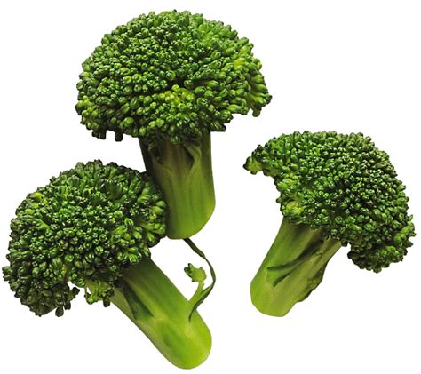 Broccoli Vegetable Clip art - broccoli png download - 600*533 - Free ...