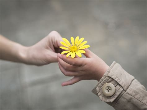 Actos De Bondad Para Niños