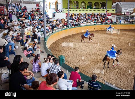 Escaramuzas Ride Their Horses A Charreada Mexican Rodeo At The Lienzo