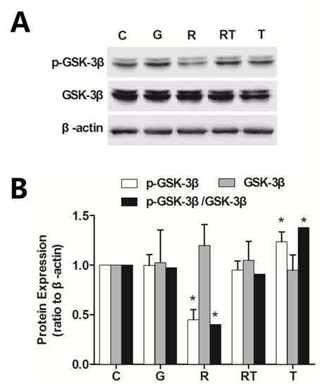 The Total Gsk And Phosphorylated Gsk In Spinal Dorsal Horn Were