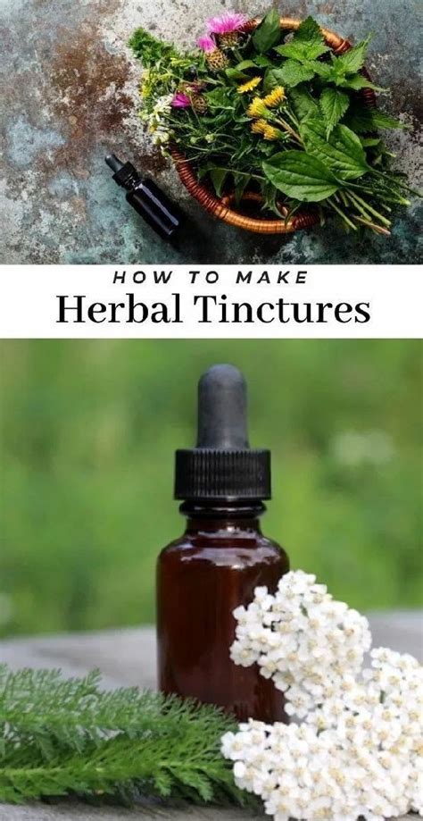 How To Make A Tincture Effective Herbal Medicine Artofit