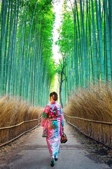 The Perfect 2 3 Days Kyoto Itinerary For First Timers Artofit