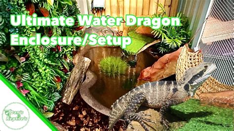 Ultimate Outdoor Water Dragon Enclosure Setup Tutorial Youtube