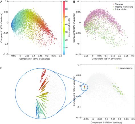 Pca Of Genes Comprising Hiped Normal Proteomes A Gene