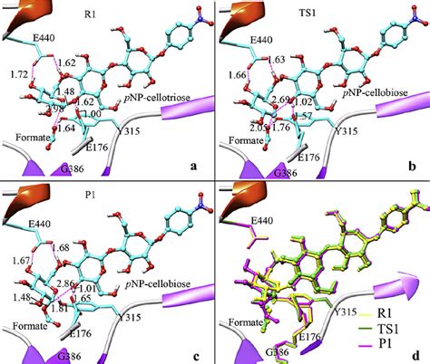 Optimized Geometries Of Reactant R1 Transition State Ts1