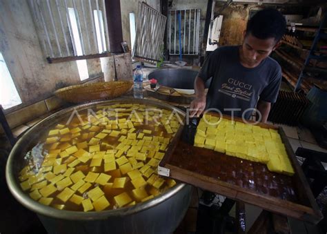 Harga Kedelai Naik Produsen Tahu Kurangi Produksi Antara Foto