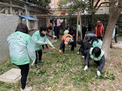 对毁绿种菜的行为坚决说不 还宝山居民一个绿意盎然的社区