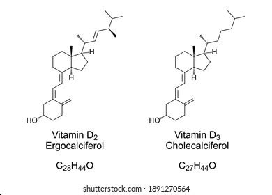 Vitamin D2 Vitamin D3 Chemical Structure Stock Vector (Royalty Free ...