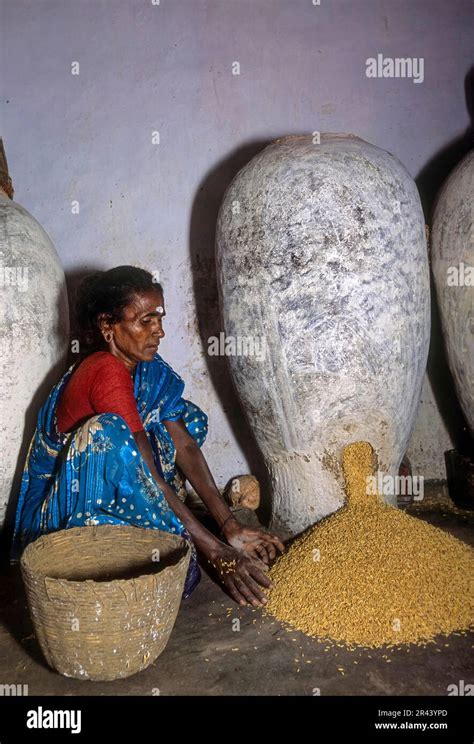 Meaning Of Rice Grain In Tamil at Samantha Tomlinson blog