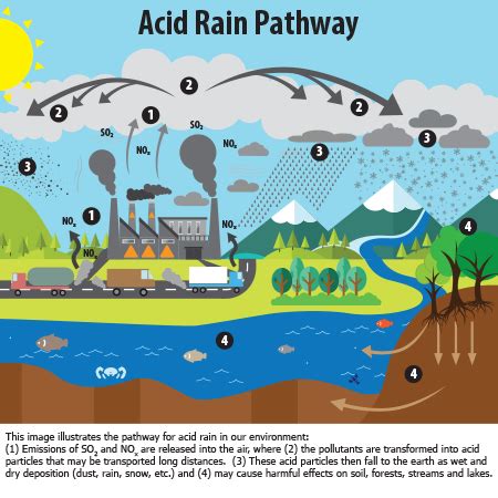 Lluvia Acida | Mind Map