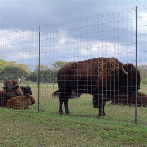 Orchard Wildlife Fence Stay Tuff Fence