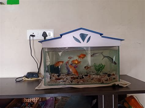 Fish And Aquarium Store In Sale | espace-trail-du-couserans.com