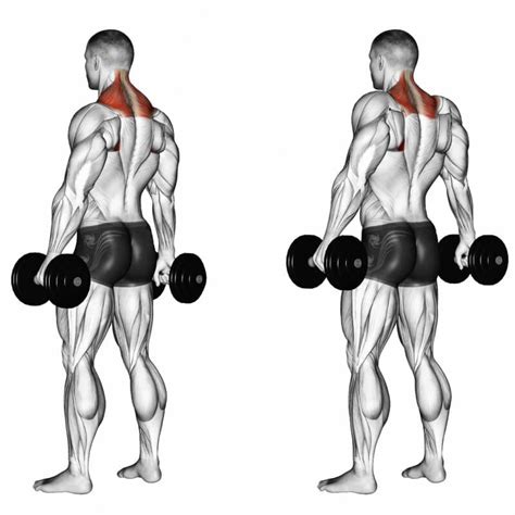 Smith Machine Shrug Variation For Targeting Traps