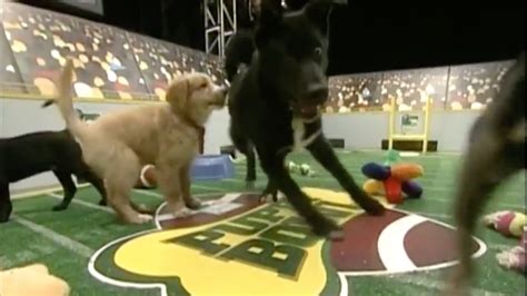 Puppy Bowl