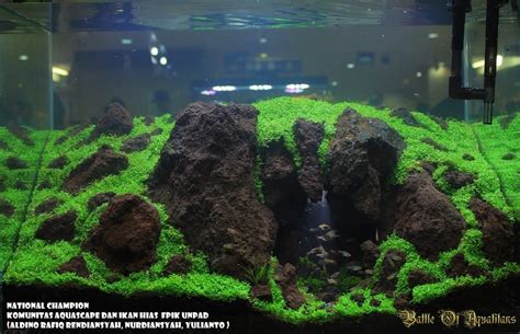 Aquascape Cave Aquascape Ideas