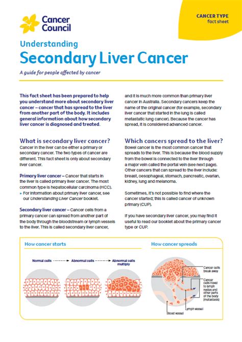 Secondary Liver Cancer Symptoms Treatments And More Ccnsw