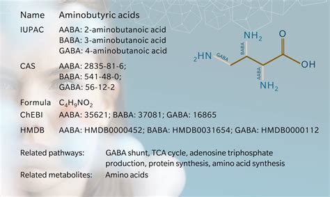 Metabolite Of The Month Aminobutyric Acids Biocrates Life Sciences Ag