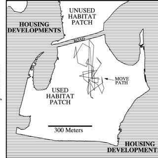 A map of rattlesnake habitat and movement paths. The unfilled polygons ...