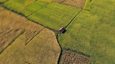 torta de argao  cebu    proudlyfilipinocom
