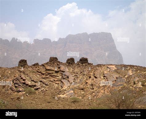 The beehive tombs from the 3rd millennium BC, Al Ayn, Oman, UNESCO ...