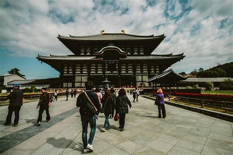 Entdecken Sie Nara Und Kyoto Auf Einer Viert Gigen Tour Mit Einem