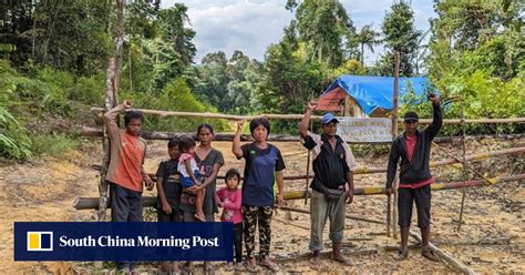 Malaysia’s indigenous Orang Asli call for end to logging amid fears for ...