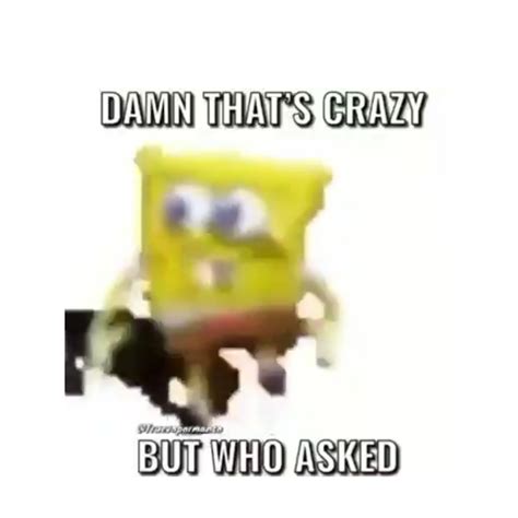 damn thats crazy bro but who asked but with spongebob dancing Animated Gif Maker - Piñata Farms ...